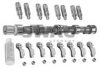 SWAG 40 32 0008 Camshaft Kit